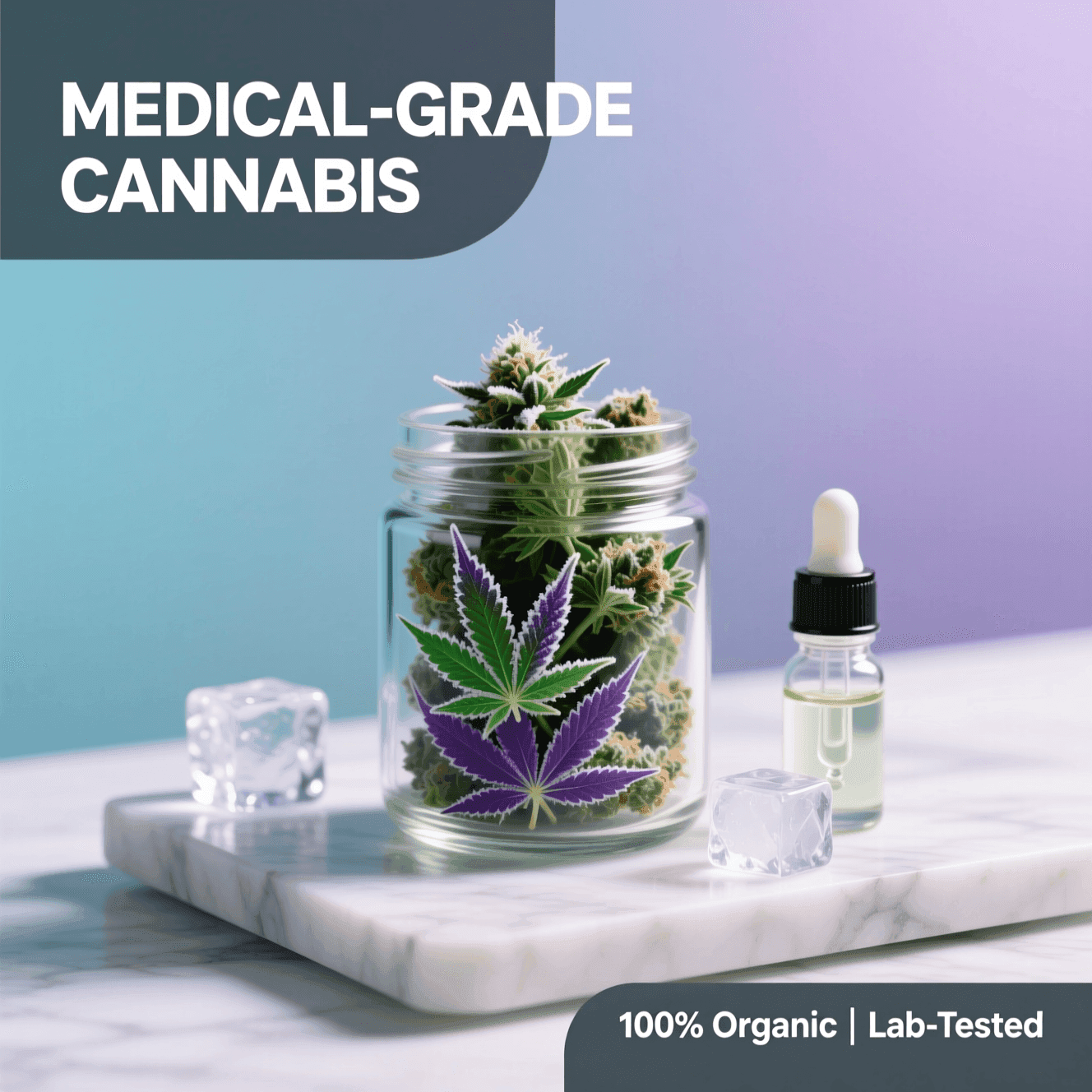 Hybrid Balance Blend